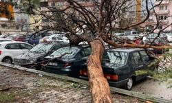 Hafta Sonu Fırtına Yeniden Geliyor