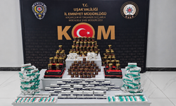 Uşak’ta kaçak ilaç ve cinsel içerikli ürün operasyonu