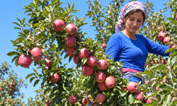 Yeni Parti Çivril İlçe Başkanlığı: “Bahçede dört TL, markette suyu 100 TL”