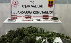 Zehir satıcısına operasyon