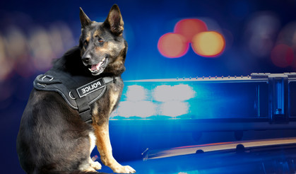 Uşak’ta Narkotik Operasyonu: Zulayı Köpek Buldu