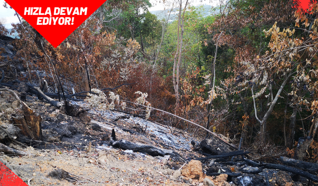 Uşak'ın Köprübaşı ve Çevre Köylerinde Yangın Devam Ediyor