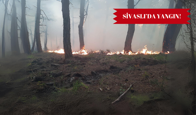 Uşak Sivaslı'da Orman Yangını Kontrol Altına Alındı