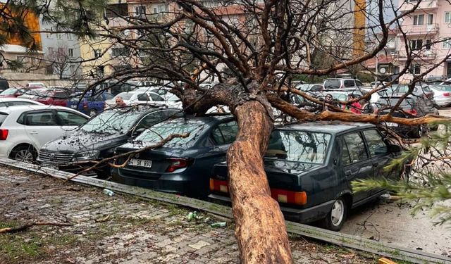 Hafta Sonu Fırtına Yeniden Geliyor