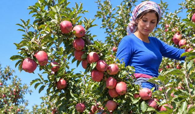 Yeni Parti Çivril İlçe Başkanlığı: “Bahçede dört TL, markette suyu 100 TL”