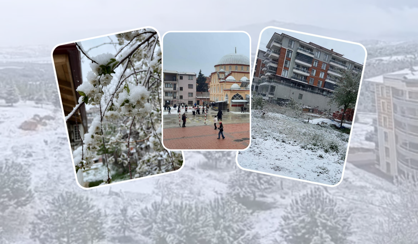 Baharda Yağan Kar Renkli Görüntüler Oluşturdu