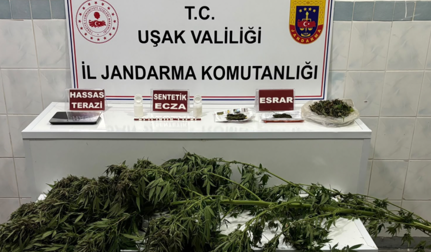 Zehir satıcısına operasyon